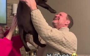 Dad Gets Dog For Christmas Present - Animals - VIDEOTIME.COM