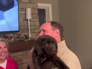 Dad Gets Dog For Christmas Present