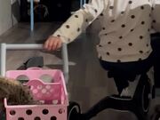 Cat Falls Out of A Stroller as it Tips Over