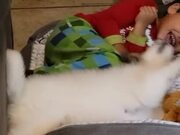 Kid Plays With His New Puppy