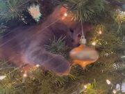 Playful Cat Punches Decoration