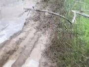 ATV Rider Dumped Into a Puddle