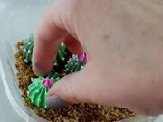 Succulent Shaped Cake Frosting Set