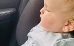 Cow Scares Toddler While He Watches Them From Car - Kids - VIDEOTIME.COM