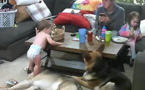Toddler Falls After Stepping on Dog - Kids - VIDEOTIME.COM