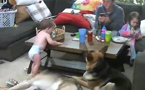 Toddler Falls After Stepping on Dog - Kids - Videotime.com