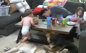 Toddler Falls After Stepping on Dog