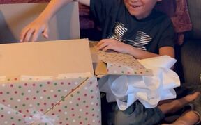 Sheer Bliss Overtakes Polite Kid - Kids - VIDEOTIME.COM