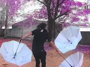 Professional Circus Performer Juggles Umbrellas