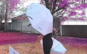 Professional Circus Performer Juggles Umbrellas - Fun - VIDEOTIME.COM