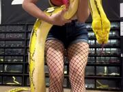 Woman Picks Up Giant Pet Snake Easily