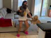 Girl Surprises Dogs After Being Away for a While