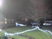 Deers Ripping Christmas Lights Off Front Yard