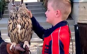 Boy Gets Scared Petting Eurasian Eagle Owl - Kids - VIDEOTIME.COM