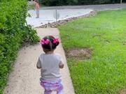 Toddler Falls Down & Goes Into 'Pause Mode'