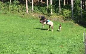 Girl Faceplants After Falling Off Her Horse - Sports - VIDEOTIME.COM