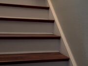 Dog Grumbles While Climbing Down Staircase