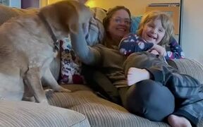 Dog Gets Jealous When Owner Pats Her Son - Animals - VIDEOTIME.COM