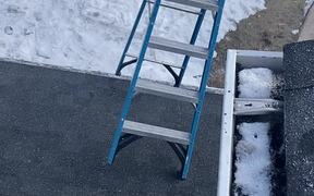Ladder Walks and Tumbles Off Roof