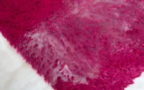 Footage of Water Getting Wiped Off a Red Rug - Fun - VIDEOTIME.COM