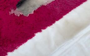 Footage of Water Getting Wiped Off a Red Rug - Fun - VIDEOTIME.COM