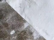 Person Has Hidden Grass Patch in Snowy Yard