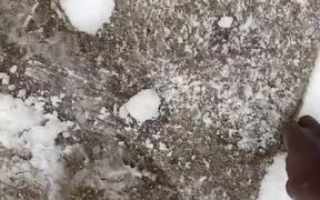 Person Has Hidden Grass Patch in Snowy Yard - Animals - VIDEOTIME.COM
