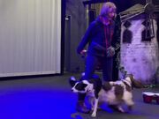 Girl Does Tricks With 2 Dogs Using Colourful Stick