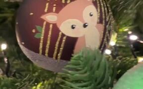 Dog Plays and Poses With Different Ornaments - Animals - VIDEOTIME.COM