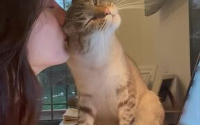 Cat Cuddles With His Owner - Animals - VIDEOTIME.COM