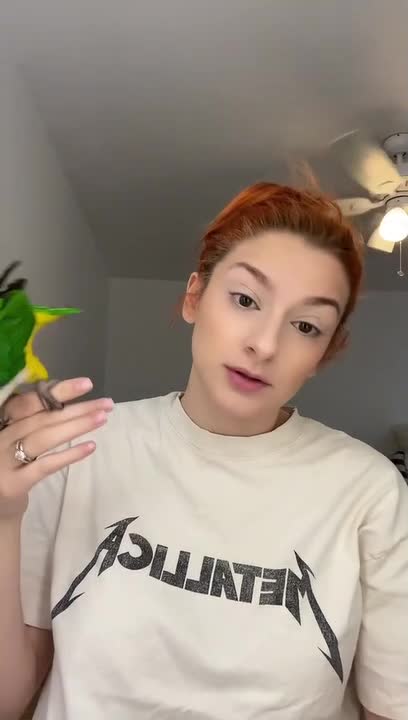 Pet Parrot Hilariously Annoys Woman