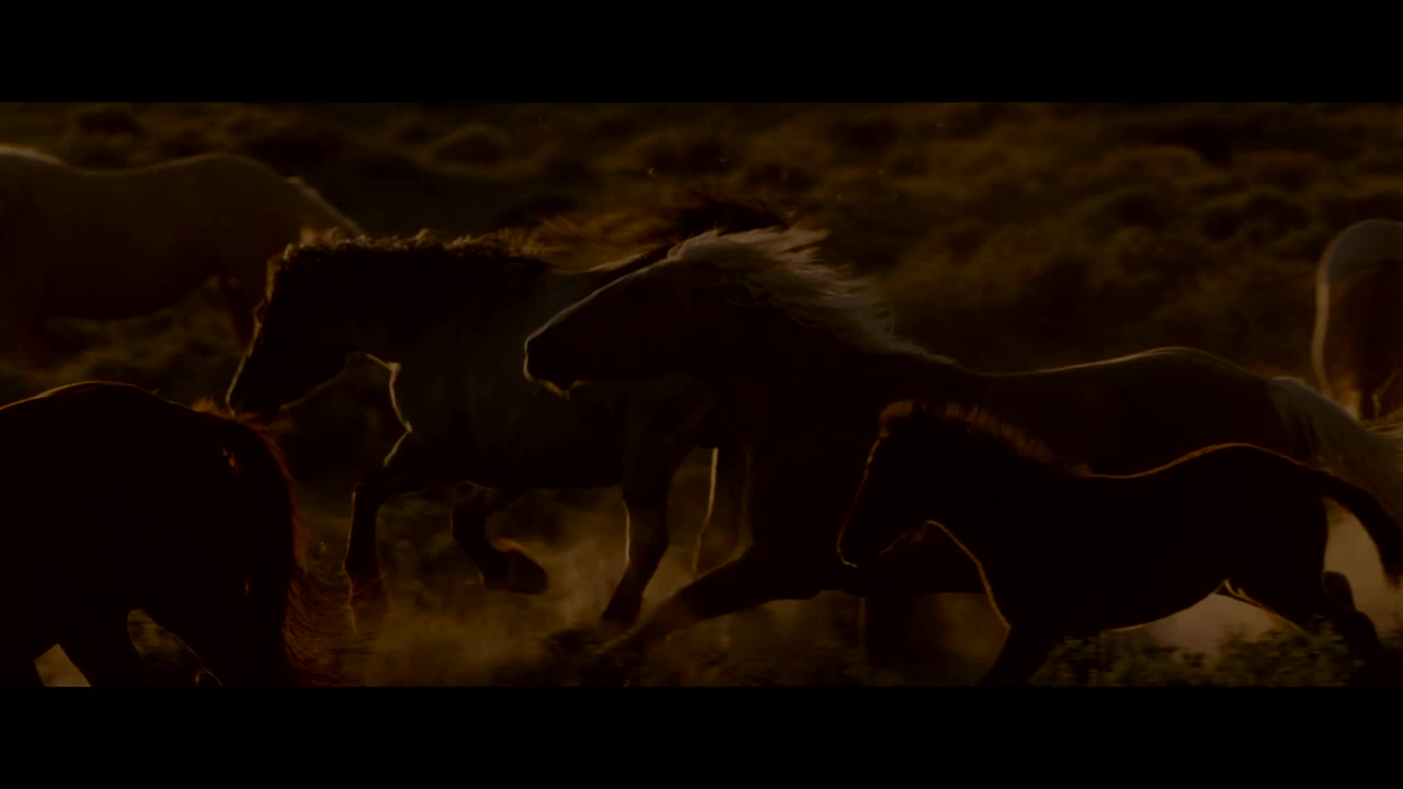 Wild Beauty: Mustang Spirit of the West Trailer