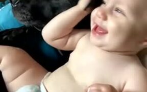 Baby Enjoys Playtime With Their Pet Dog - Animals - VIDEOTIME.COM