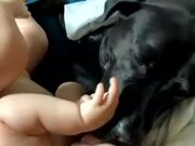 Baby Enjoys Playtime With Their Pet Dog