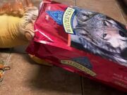 Iguana Plays With Empty Dog Food Bag in Kitchen