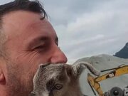 Goat Adorably Bleats Every Time Person Caresses It