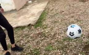 Dog Playing Football With Humans - Animals - VIDEOTIME.COM