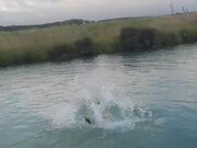 Person Trying to Ride Cycle Falls in Water