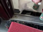 Naughty Cat Refuses To Get Out of House