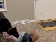 Toddler Can't Help But Roll On The Floor And Laugh