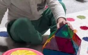Kid Builds up Toy House and Appreciates Himself