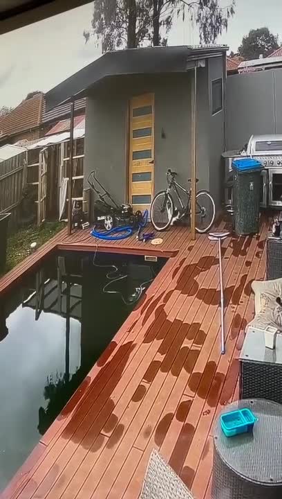 Cat Lands Into Swimming Pool While Catching Bird