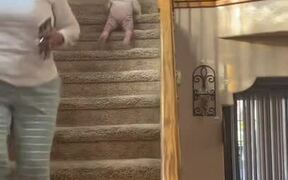 Baby Slides Down on Stairs in Reverse - Kids - VIDEOTIME.COM