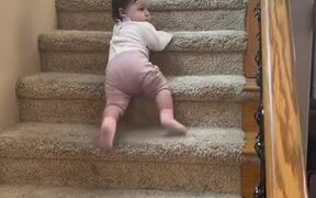 Baby Slides Down on Stairs in Reverse
