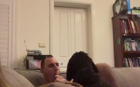 Man Sharing Ice-Cream With The Dog He Didn't Want