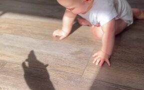 Adorable Toddler Tries Catching The Shadow Puppets - Kids - VIDEOTIME.COM