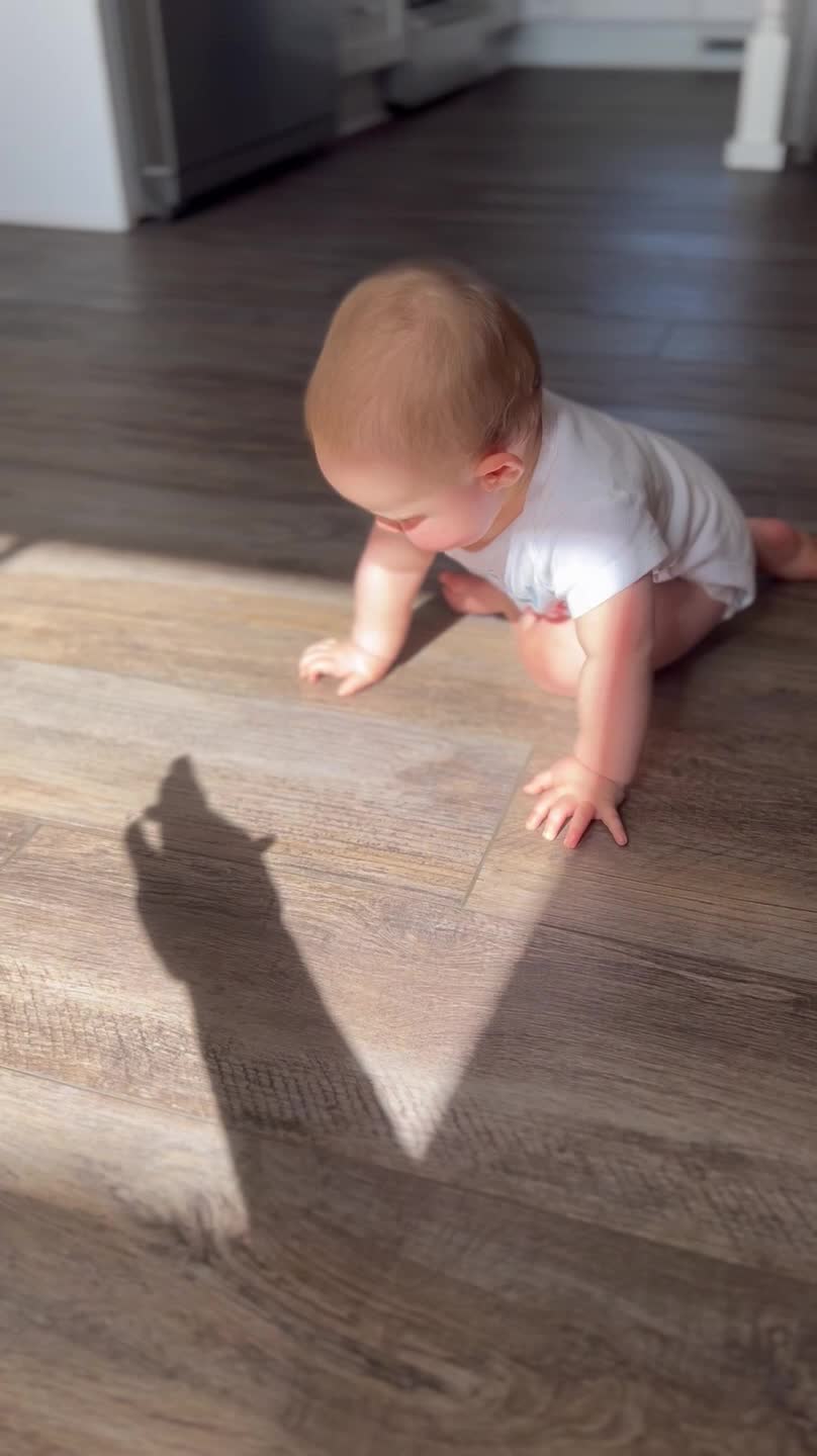 Adorable Toddler Tries Catching The Shadow Puppets