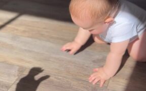 Adorable Toddler Tries Catching The Shadow Puppets