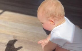 Adorable Toddler Tries Catching The Shadow Puppets - Kids - Videotime.com