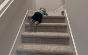 Toddler Masters the Art of Walking Down Stairs - Kids - VIDEOTIME.COM